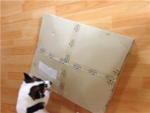 �����ڰ� ���� �Կ��Ͽ� �ø� �̹����Դϴ�